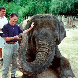 Janine Brown ('80, '84) visits with elephant Shanthi. Janine Brown ('80, '84) visits with elephant Shanthi.