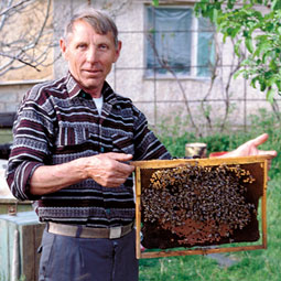 Kazakhstani beekeeper Shufar Zurazaev. Kazakhstani beekeeper Shufar Zurazaev.