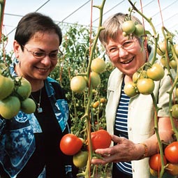 Kathleen Manenica and Sue Butkus coordinate Food Sense programs throughout the state. Among
other things, Food Sense teaches meal-planning and other strategies aimed at improving nutrition within tight budgets. Earl Otis