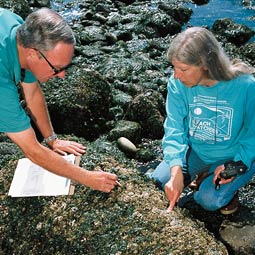 Volunteers Fletcher Davis and Cheryl Bradkin attempt to add a species to the list that Beach Watchers have developed for Island County beaches. (c) Laurence Chen