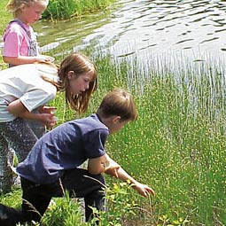 Ferry County 4-H campers study community habitats and niches.