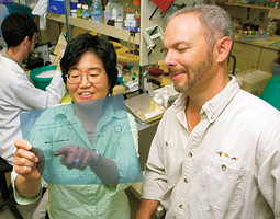 Kwan Hee Kim and Michael Skinner study the development of the male reproductive system and the production of sperm in rodents. Rodents protect themselves from toxins in much the same way as humans do. Robert Hubner