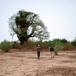 Near 11 a.m., Albadi, left, Diallo, center, and Oumar walk the perimeter of their soils study plot in 110-degree heat. By Peter Chilson