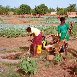 Girls draw water from a well to wash clothes beside a community garden outside the town. Peter Chilson