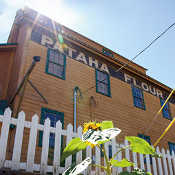 Pataha Flour Mill restaurant. Shelly Hanks
