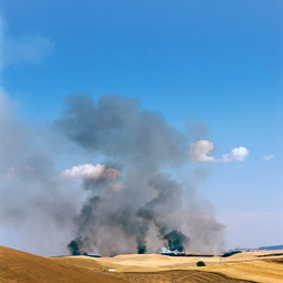 Robert Hubner