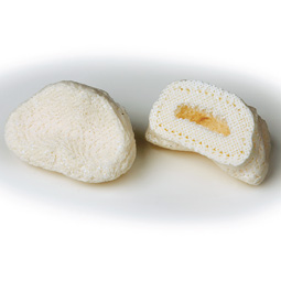 Bandyopadhyay and Bose used a CT scan of a horse's hoof to develop bone imitations with their fused deposition modeling machine. Shown are a ceramic model, with its complex porous architecture is visible. Robert Hubner