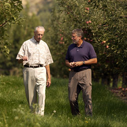 The basics of the integrated pest management program developed by Stan Hoyt (left) are used throughout the world. A number of WSU scientists, including Jay Brunner (right), promote IPM's virtues and effectiveness. Robert Hubner