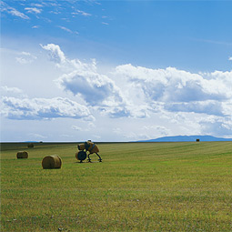 Tom Otterness
<em>Makin' Hay</em>, 2002
Fabricated steel and hay
Various sizes depending on site