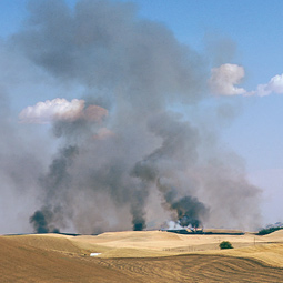 Burning field