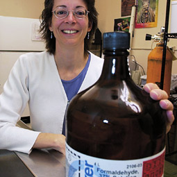 Barbara Sorg hopes to use her model system to prevent the development of multiple chemical sensitivity. Barbara Sorg hopes to use her model system to prevent the development of multiple chemical sensitivity.
