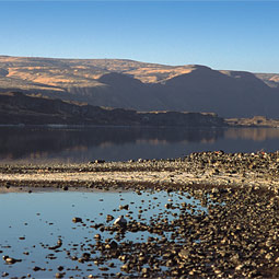 Because extremophiles spend their lives in inhospitable places, they have developed unique biological processes.