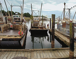 'Oyster growers have always been environmentalists to a point. We have to be, because we need clean water.' --John Herrold.