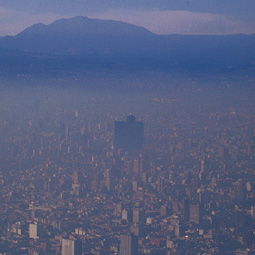 Mexico City. Mexico City.