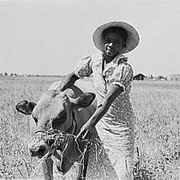 FSA (Farm Security Administration) client's wife with cow, southeast Missouri, May 1938. Historical photos by Russell Lee/Farm Security Administration-Office of War Information Photographic Collection (Library of Congress).