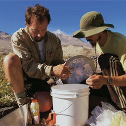 John Bishop (left) and assistant Matt Ogburn check a light trap for moths that they will take back to the laboratory.