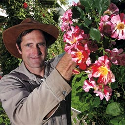Steve Smith '76, head rose gardener at Manito Gardens in Spokane.