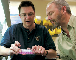 Researchers Matt Anway (left) and Mike Skinner, who is director of the Center for Reproductive Biology, are not the only one stunned by the implications of the serendipitous study.