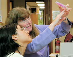 'What we're trying to do is evolution in a test tube,' say molecular biologist Margaret Black (right), here with assistant Karina Villa-Romero.