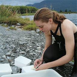 Alison Emblidge Fromme '04 wraps snails in a paper towel to put in a cooler, Lake Poerua, South Island, New Zealand.
