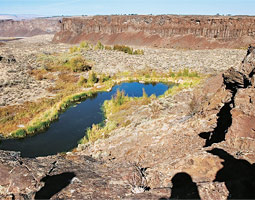 Locals occasionally use the word 'wasteland' to describe sagebrush-studded lands that biologists prefer to call native shrub steppe. It's impossible to take such a harsh view when Robert Kent is your guide.