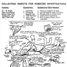 A page from <em>Entomology & Death: A Procedural Guide,</em> ed. E. Paul Catts and Neal H Haskell. Clemson, South Carolina: Joyce's Print Shop, Inc. 1990.