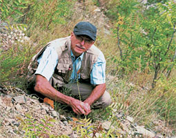 Walter Kaiser examines the much-hunted chickpea, which he found rooted on a rocky hillside among grasses and Sumac.