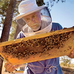 Entomologist Steve Sheppard.
