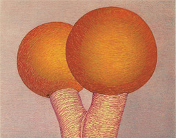 <em>Les Deux Grandes Ballons</em>, wood block print, by Rovin Dare ('86 MFA).
