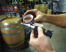 Freshly picked grapes are squeezed for their sugar content in a sugar refractometer. The brix, or sugar content, measured lets the winemaker know if it's time to harvest the grapes.
