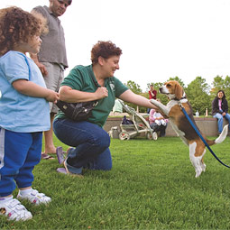 Bellevue's 20-acre downtown park south of Bellevue Square is one of the city's great public spaces.Every evening members of the condo crowd bring their dogs and visit with their neighbors.