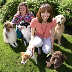 Veterinarian Katrina Mealey (right) and veterinary technician Denise Waiting have found that drugs that are safe and effective for one breed of dog may be deadly for another. Veterinarian Katrina Mealey (right) and veterinary technician Denise Waiting have found that drugs that are safe and effective for one breed of dog may be deadly for another.