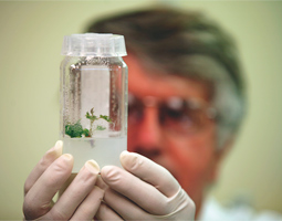 A laboratory and vineyard in Prosser are where your wine is supposed to begin.