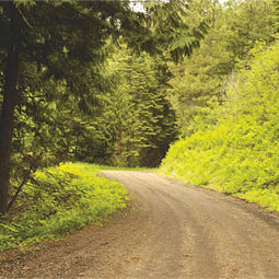 Mary Minerva McCroskey State Park straddles the Idaho-Washington state line. Virgil McCroskey was not a strict preservationist. He logged some of his lands for revenue and labored tirelessly to punch a 26-mile road across the future park's ridge, convinced the automobile would revolutionize how Americans appreciated nature.