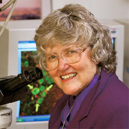 Lynn Churchill uses fluorescence microscopy to see which brain cells make sleep-related chemicals such as TNF.