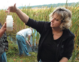 Once Karen Lippy's students have finished counting benthic invertebrates as water-quality indicators, they pretty well understand how things work in the Hood Canal ecosystem.