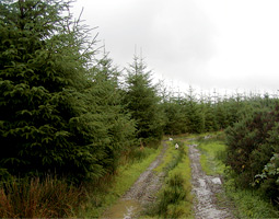 Ireland