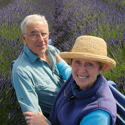 Even as they pursued their main careers, Cathy '68 and Leeon '68 Angel raised llamas for 16 years near Issaquah. They decided to forego livestock in their 'retirement' and now work double-time as the largest wholesale lavender growers around Sequim.