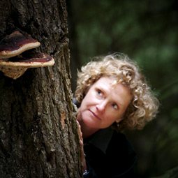 In the fall Lori Carris heads to the woods every week to hunt for fungus—for her study, for her mycology classes, or simply to eat. Here she spies a forest conk fungus growing on a tree.