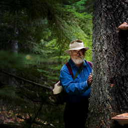 Jack Rogers started his career as a teacher and forest pathologist in the Pacific Northwest. Today he travels the world hunting for fungi that affect hardwoods, though he still visits the local woods each spring to hunt for morels.