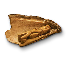 Makah artifact from Ozette