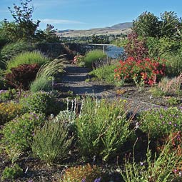 Xeriscape Demonstration Garden in Riverfront Park in Wenatchee. <em>Amber Barber</em>