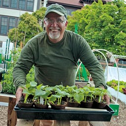 Master Gardener Mick Duggan brings plant starts into Seattle's Beacon Hill demonstration garden at El Centro de la Raza. <em>Zach Mazur</em>
