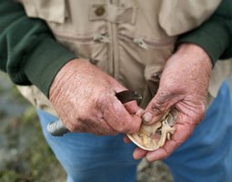 Eugene Thrasher demonstrates opening a clam. <em>Matt Hagen</em>