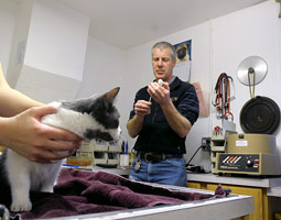 Though he loves working with large animals, three-quarters of Randy McGraw's veterinary practice today includes tending to the household pets of his community.