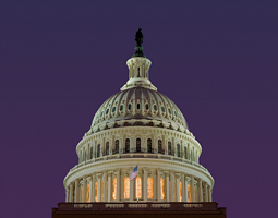 Capitol dome.