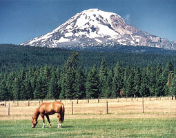 Glenwood has everything you'd ask of an idyllic rural community. Except high-speed Internet.