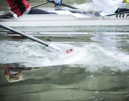 Oars in the water.