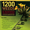 1200 Weeds