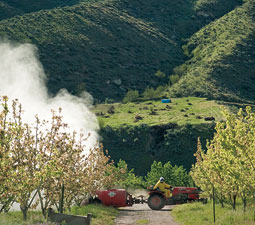 The new softer pesticides have reduced re-entry times for workers from as much as 14 days to four hours. By Zach Mazur